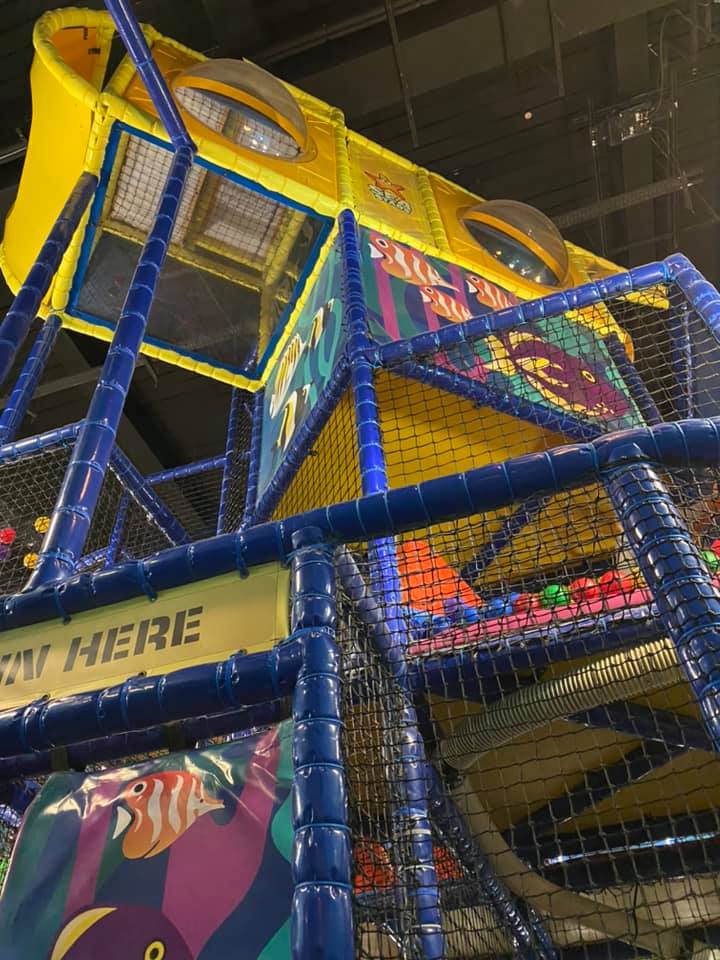 The Best Sea Life Aquariums in the UK North East Family Fun