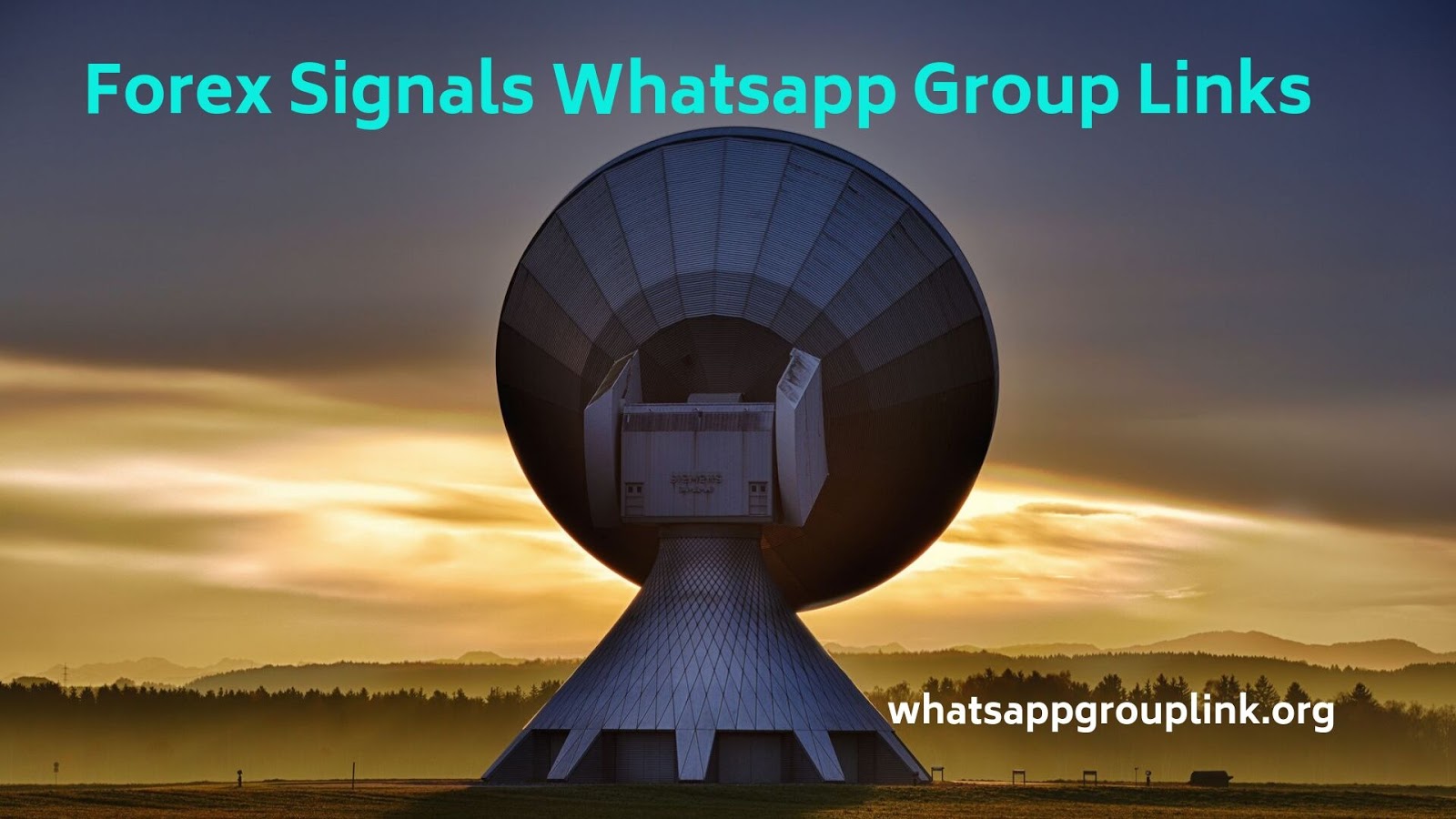 Forex signal whatsapp group link