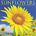 View Review Sunflowers 2018 Wall Calendar AudioBook by Willow Creek Press (Calendar)