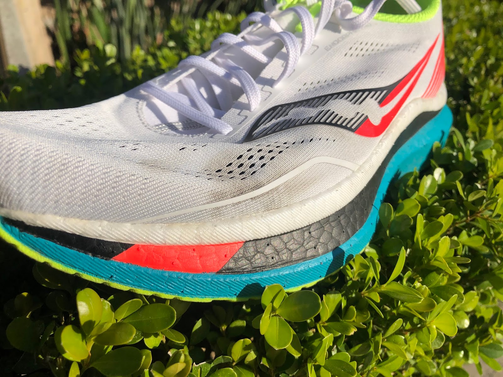 Saucony Endorphin Pro Multiple Tester Review DOCTORS OF RUNNING