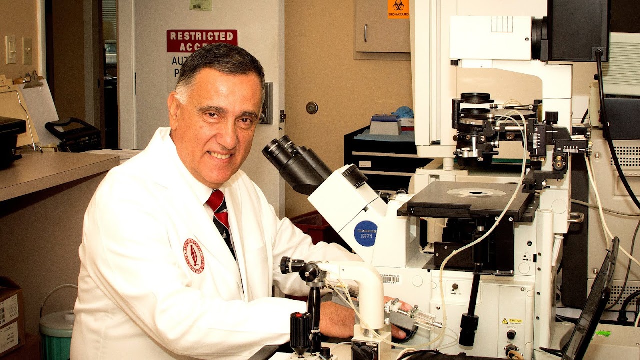 Ultrasound Technician Schools In Jacksonville Fl School Choices