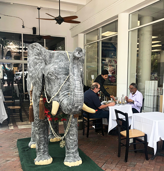 Coconut Grove Grapevine Try the lunch special at Saffron Indian restaurant