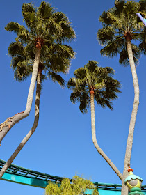 Curved palms Seuss Landing Universal Studios Orlando by garden muses-not another Toronto garden blog