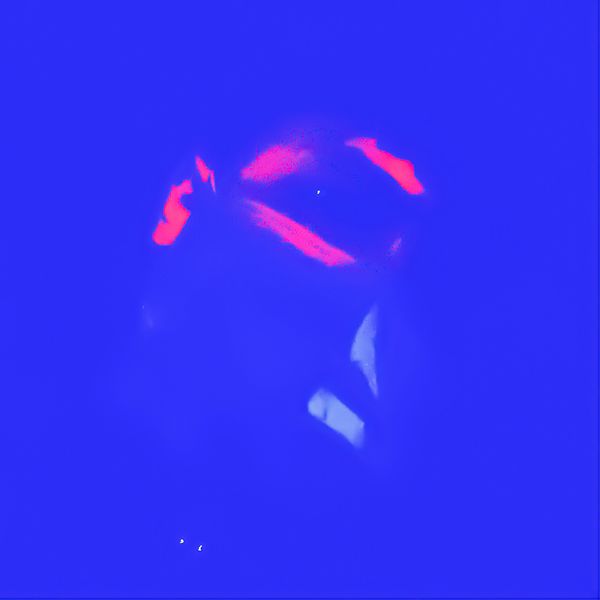 FecoeL – NightSTalker – EP