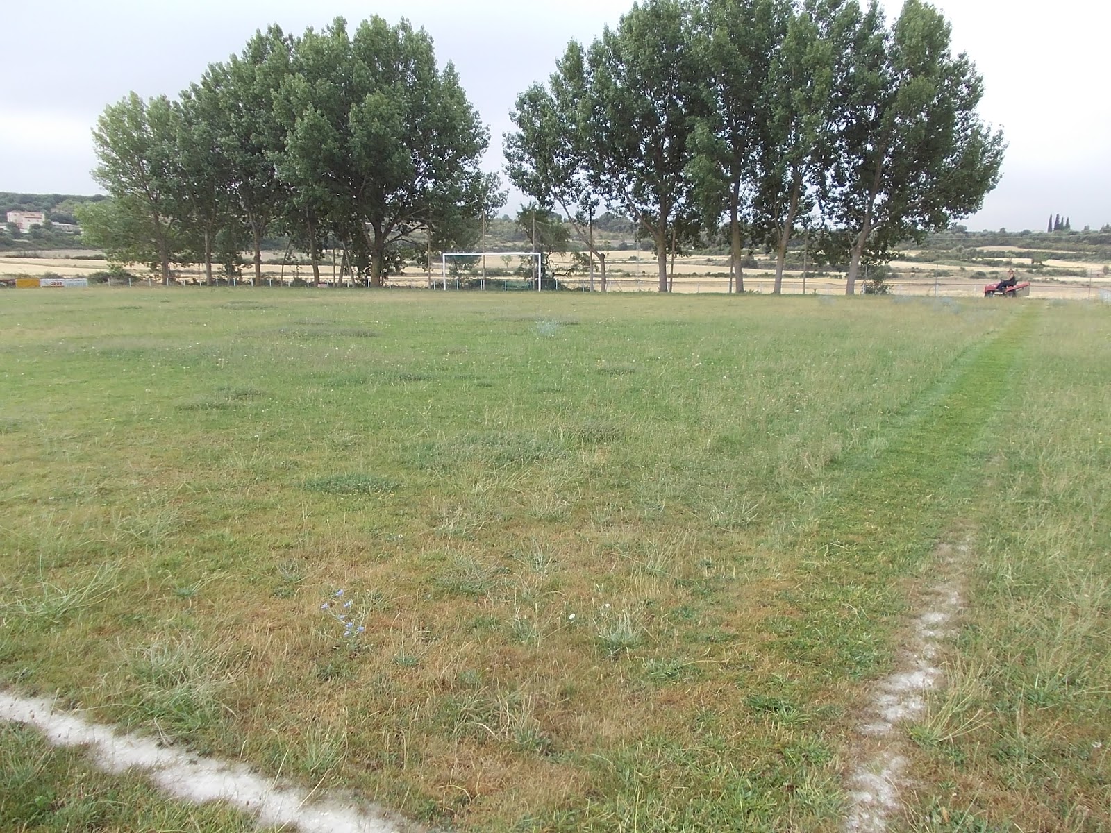 Ayerbe Taller de Empleo Jardineria: Cortar césped Campo de fútbol