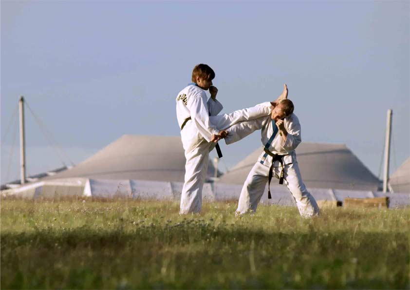The fear of getting hurt Martial Arts of Sales