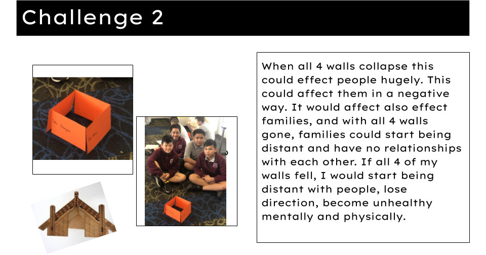 Hauora essay 08 picture