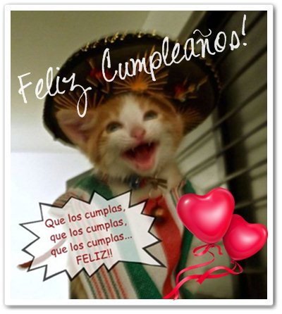 feliz cumpleaños gatito