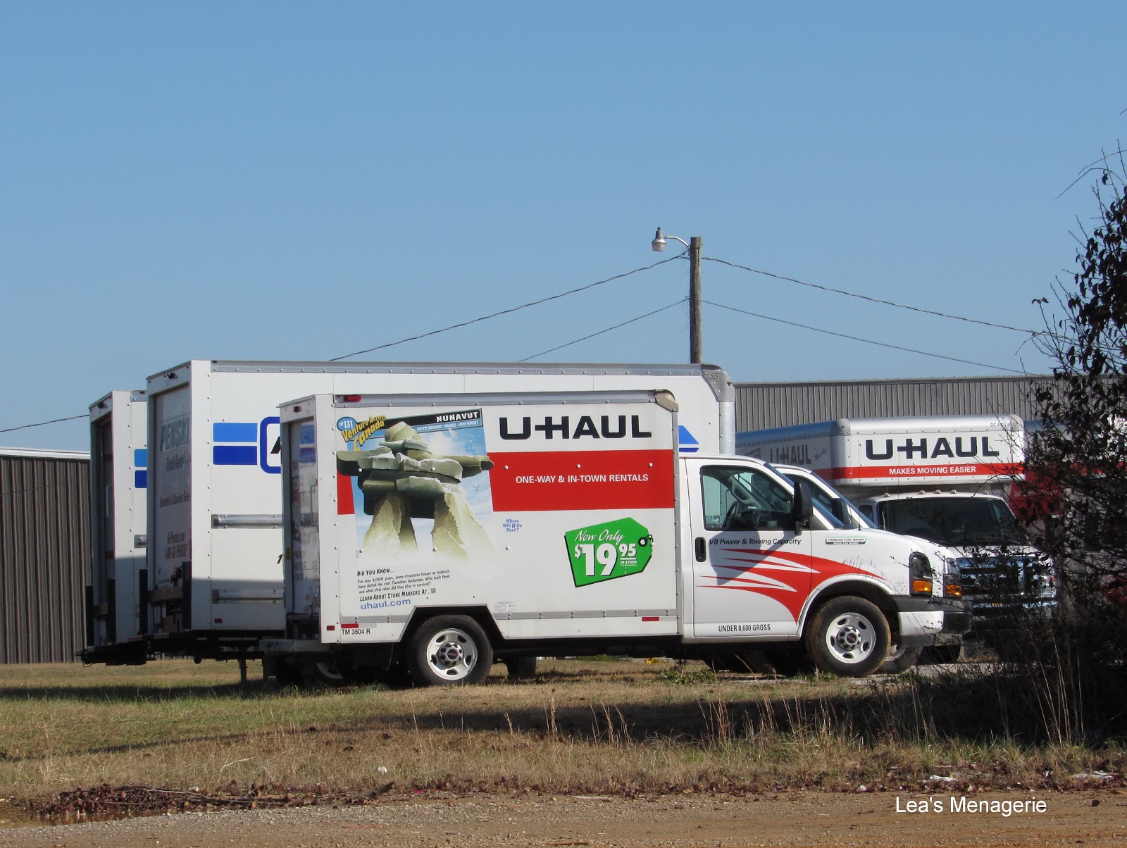 Lea's Menagerie UHaul, November 26, 2019