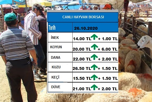 26.10.2020 Canlı Hayvan Pazarı Fiyatları ve karkas kesim fiyatları 2020