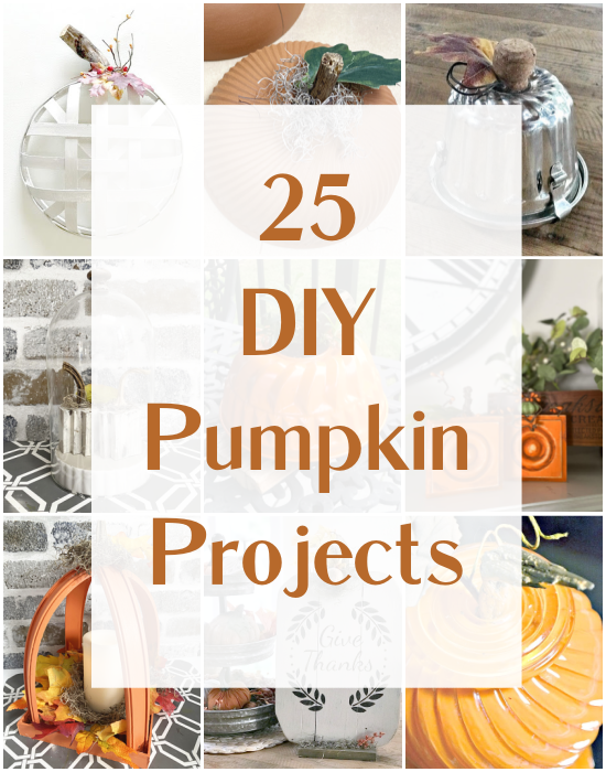 25 pumpkin project pin