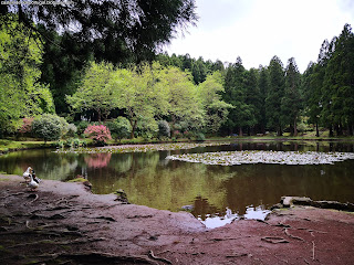PORTUGAL / Lagoa das Patas, Ilha Terceira, Açores, Portugal