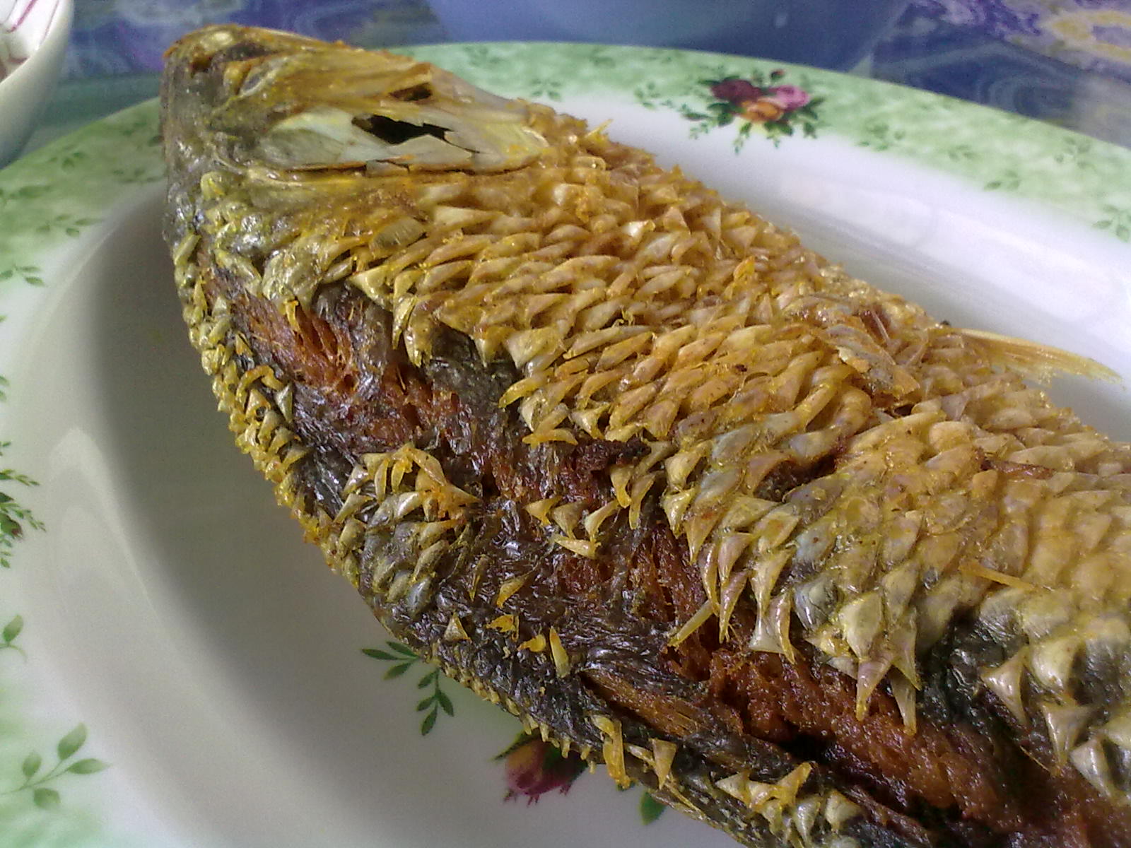 Resepi Ikan Terubuk Goreng Bersama Sambal Kicap Resepi