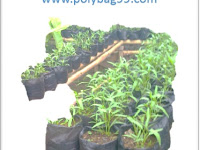 Cara Membuat Media Tanam Untuk Tanaman Sayuran Dalam Polybag