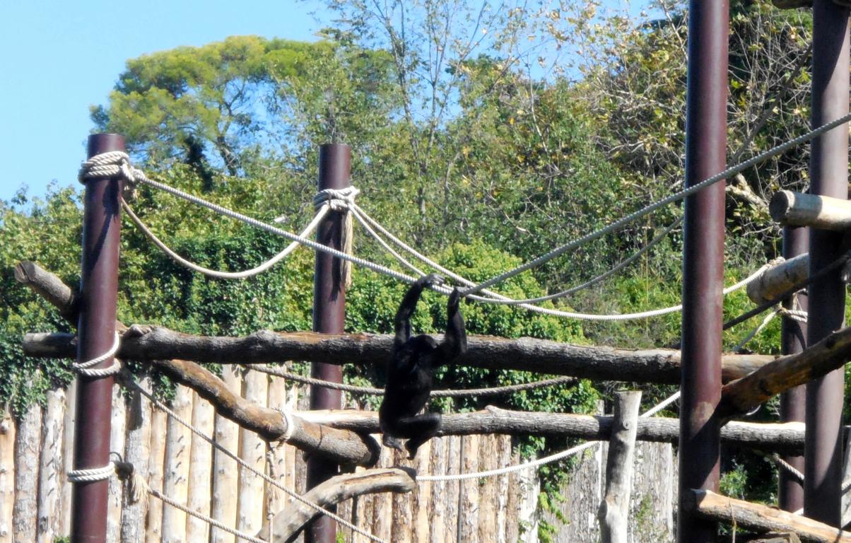 Lu On Tour Gardasee Teil 2