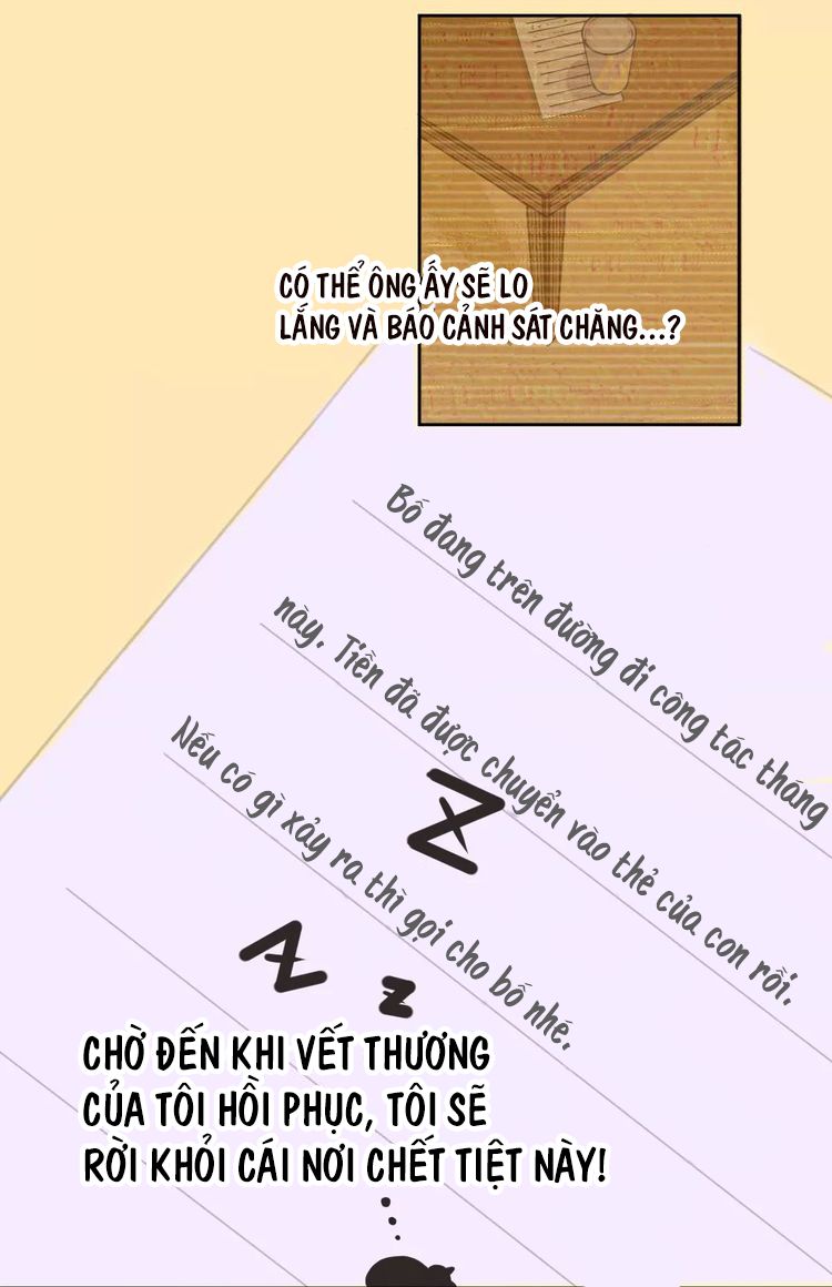 Đọc truyện Thế giới của một chú mèo - Chapter 2