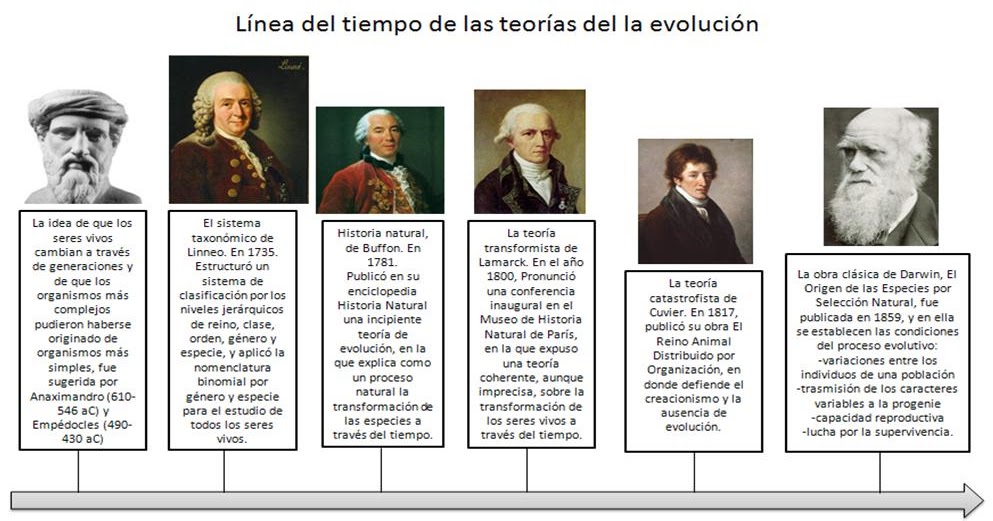 El origen y la evolución humana