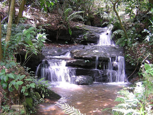 National Parks of Paraguay: Ybycuí National Park