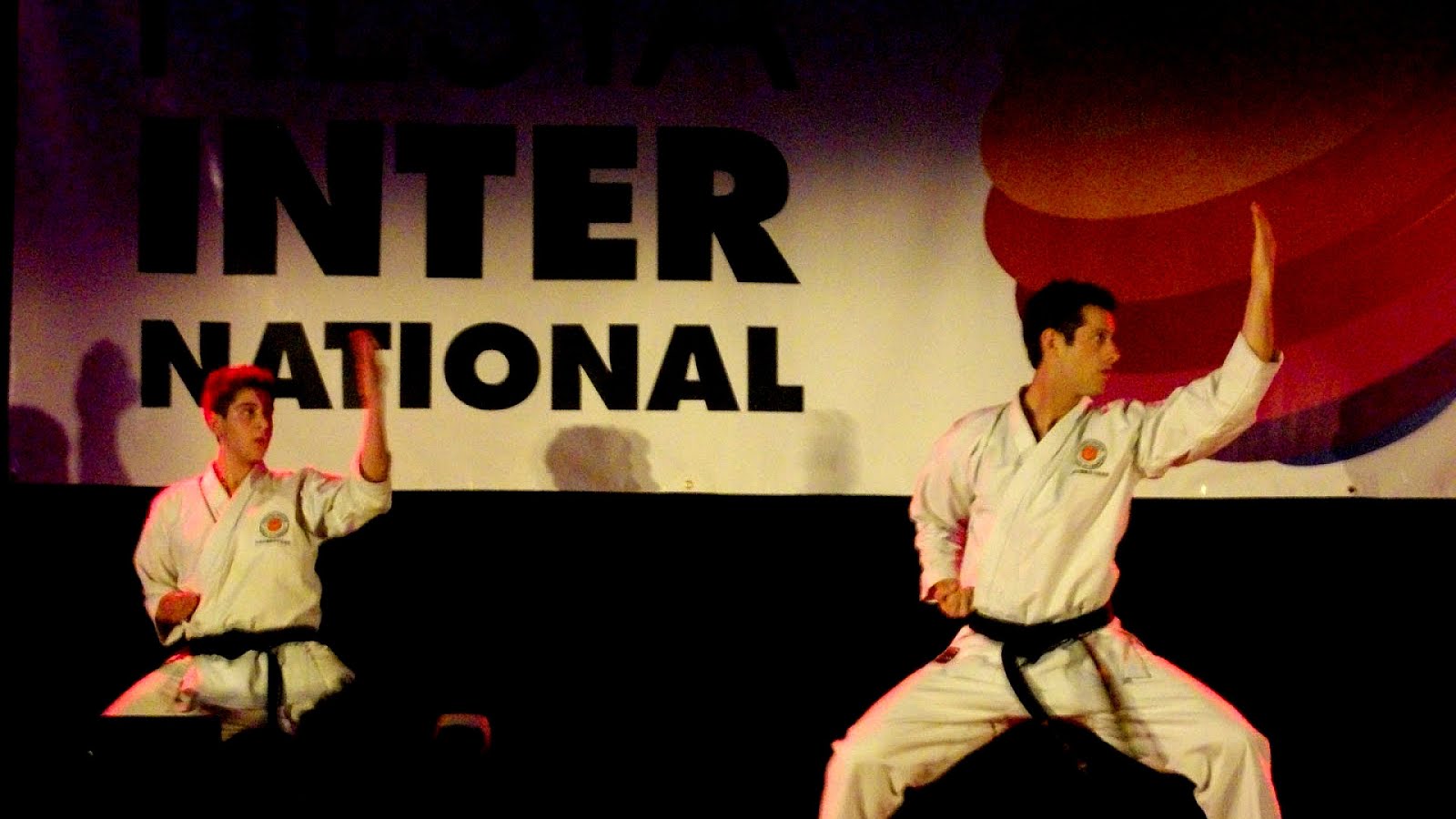 Historical European martial arts Karate Karate Choices