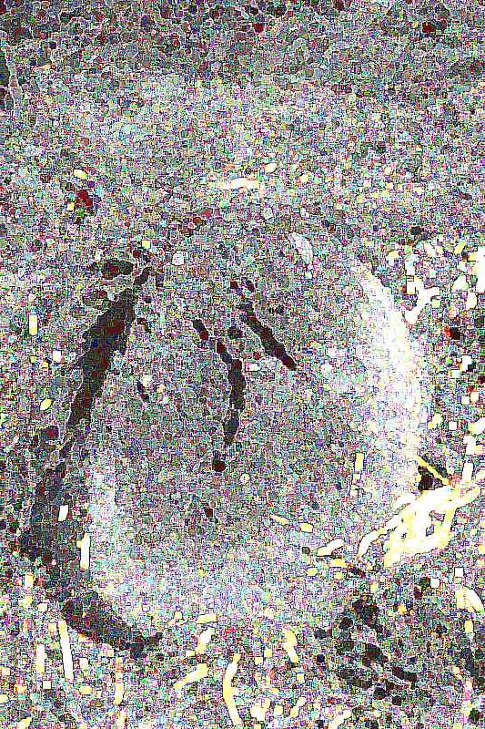 화순 영구산 운주사 화순 영구산 운주사