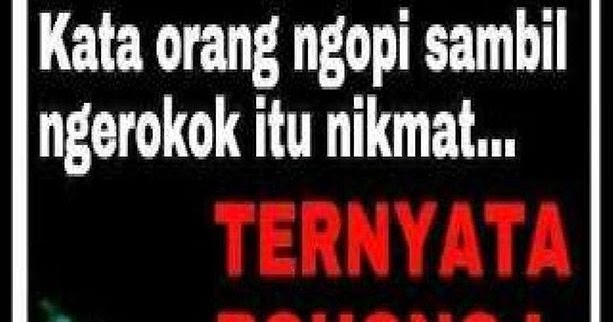 31 Terbaru Kata Kata Mutiara Nyeleneh Kata Kata Mutiara