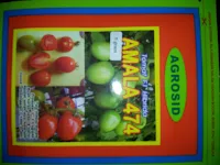 Benih, amala, tomat amala, benih tomat amala, bibit tomat amala, tomat, tahan virus,kuning, keriting, unggul, dataran rendah, tinggi, petani