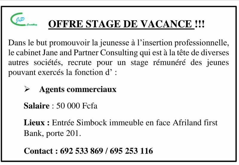 Dans le but promouvoir la jeunesse à l'insertion professionnelle, le cabinet Jane and Patner Consulting qui est la tète de diverses autres sociétés, recrute pour un stage rémunéré des jeunes pouvant exercés la fonction d': Agent commerciaux