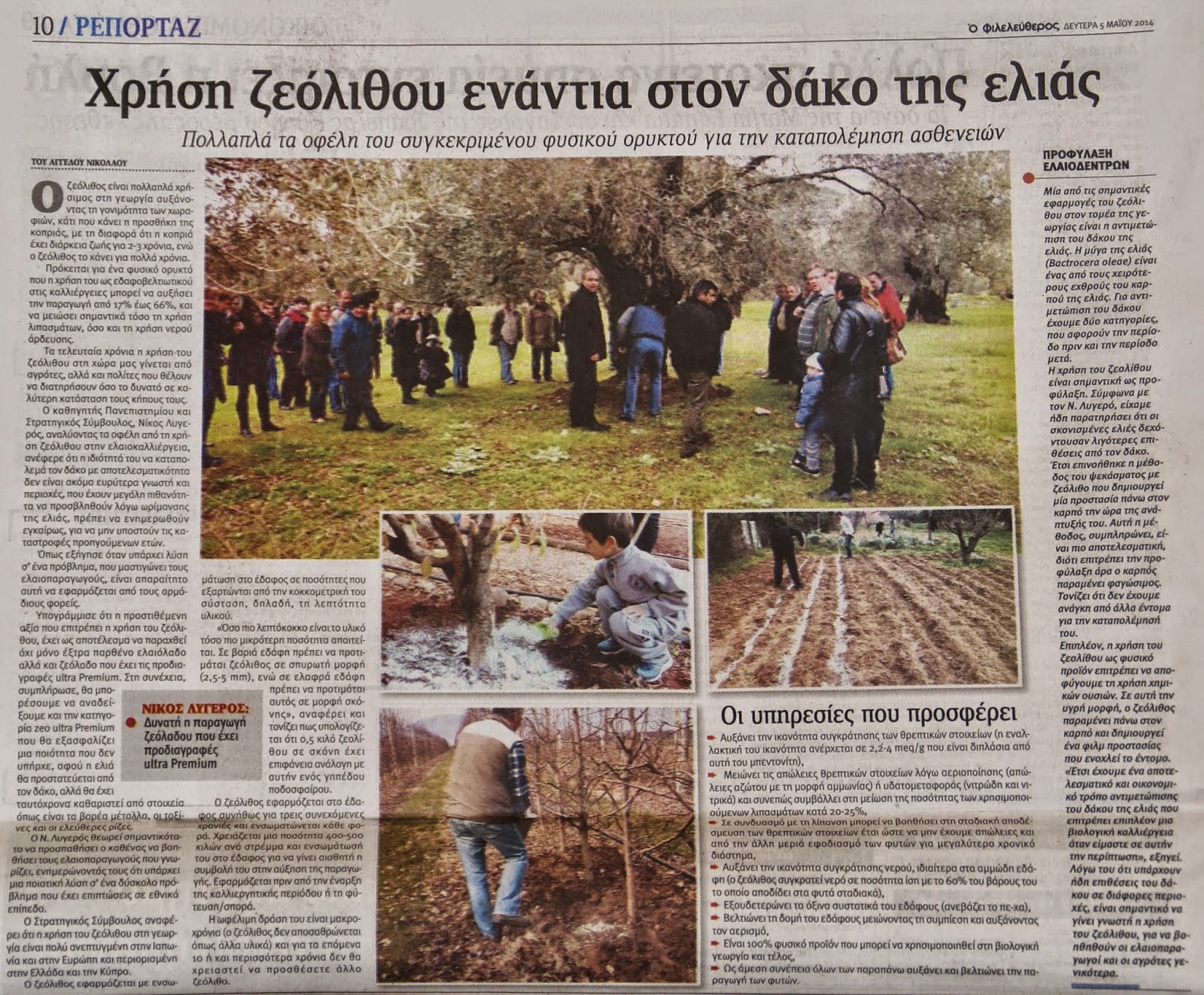 Χρήση ζεόλιθου ενάντια στον δάκο της ελιάς - ''Ο Φιλελεύθερος''