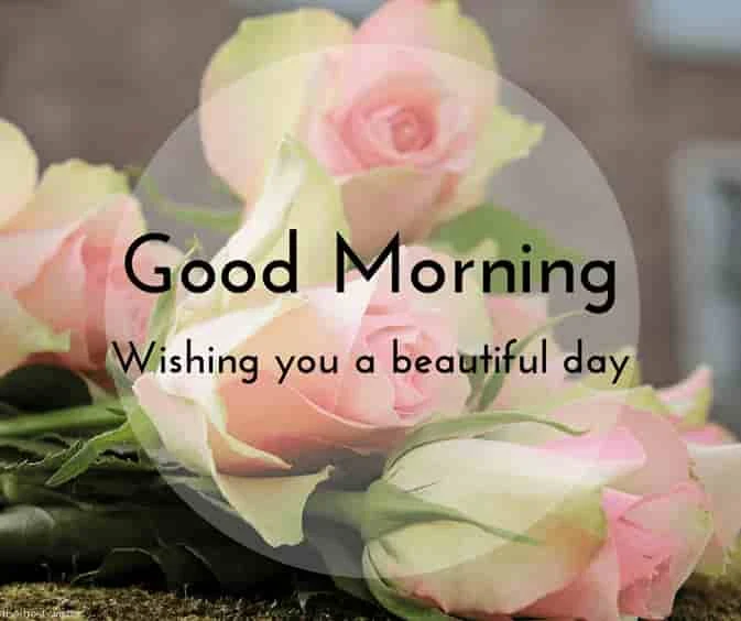 good morning wishes images