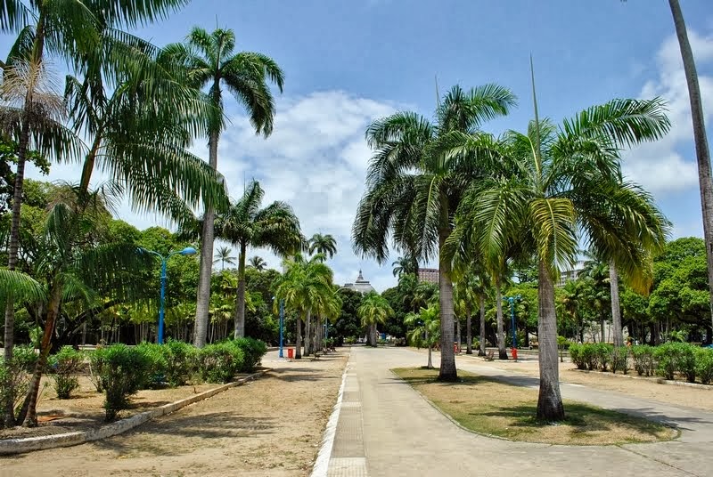 Parque 13 de Maio - Recife