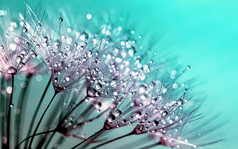 Complete Macro Photography Tutorial'- www.kninfocare.blogspot.com Complete Macro Photography Tutorial'- www.kninfocare.blogspot.com
