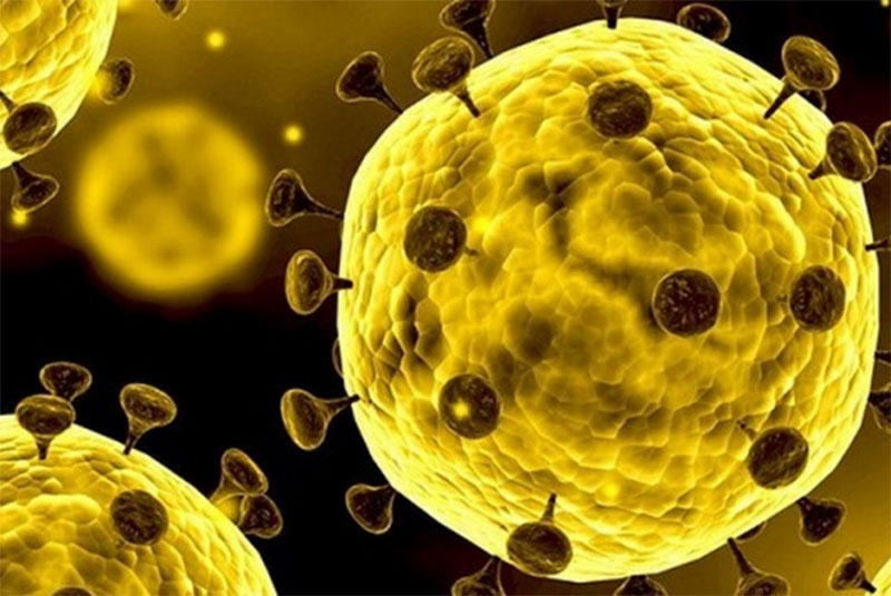 Cara Mencegah Virus Corona Wuhan agat tidak Menjangkit