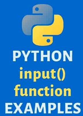 Python input() function