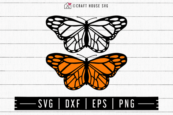 Download Where To Find Free Butterfly SVGS