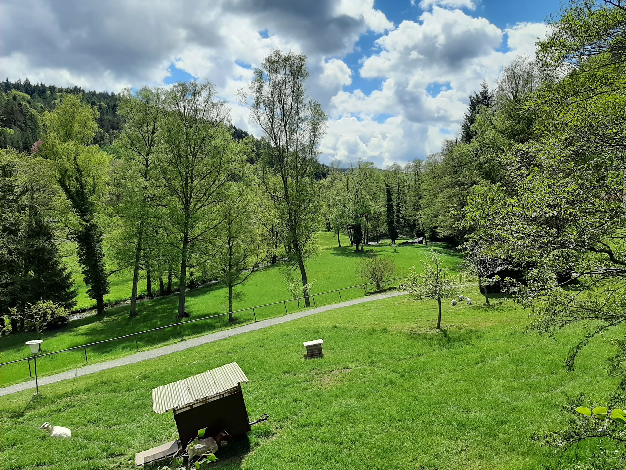 Der Schwarzwald und seine Natur Naturschutzgebiete im Landkreis Karlsruhe
