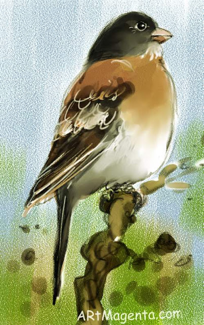 Brambling is a bird sketch by Artmagenta.