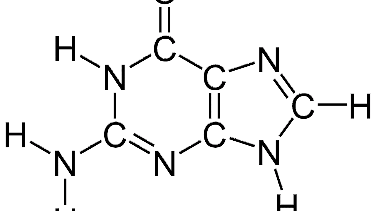 Structural Formula Of Protein Protein Choices