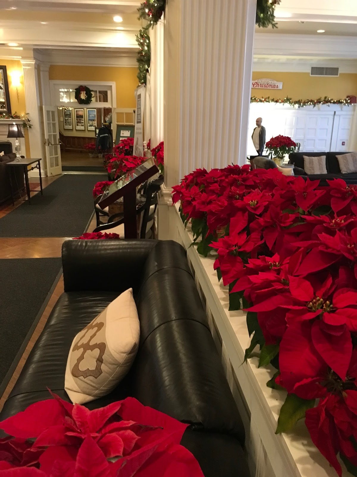 Tangled Roots and Trees Christmas Eve at The Sagamore