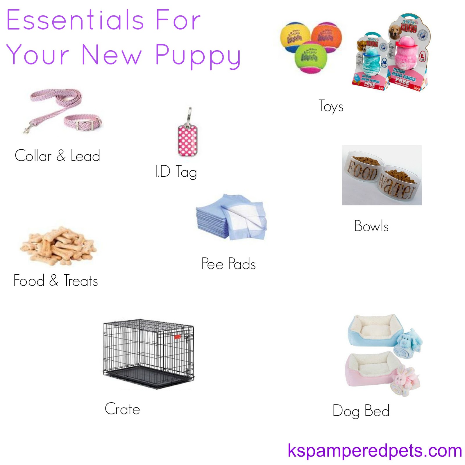 new puppy essentials