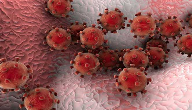  Virus yang telah ditemukan semenjak tahun  PENELITI TEMUKAN 6 VIRUS BARU 
