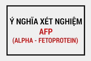 Ý nghĩa xét nghiệm AFP, Định lượng AFP là gì, Các yếu tố tăng giảm chỉ số AFP, alpha fetoprotein, chất chỉ điểm ung thư AFP