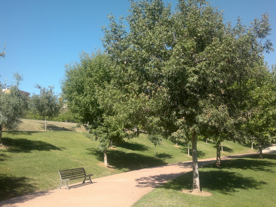 Cáceres en la Historia: El Rodeo