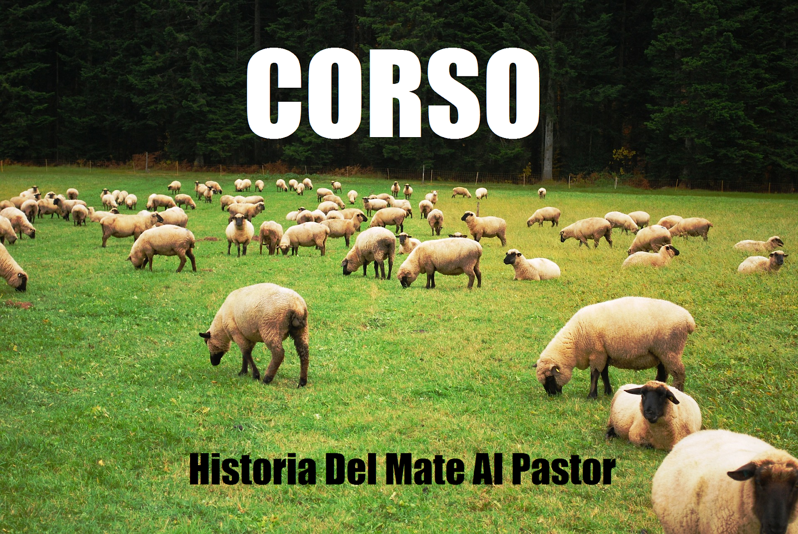 Historia Del Mate Al Pastor