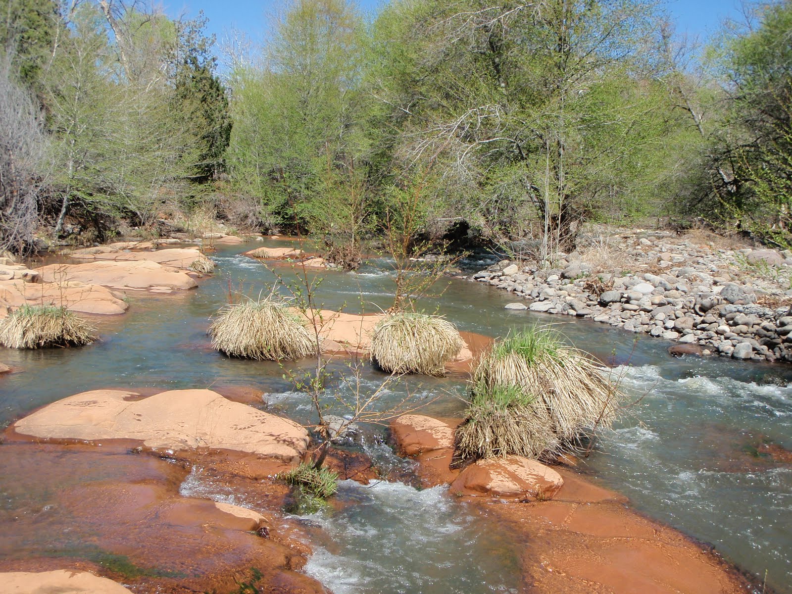Marti's Musings Wet Beaver Creek, AZ