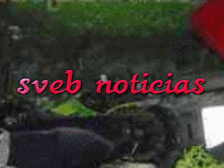 Muere motociclista tras ser embestido por un auto en Xalapa Veracruz