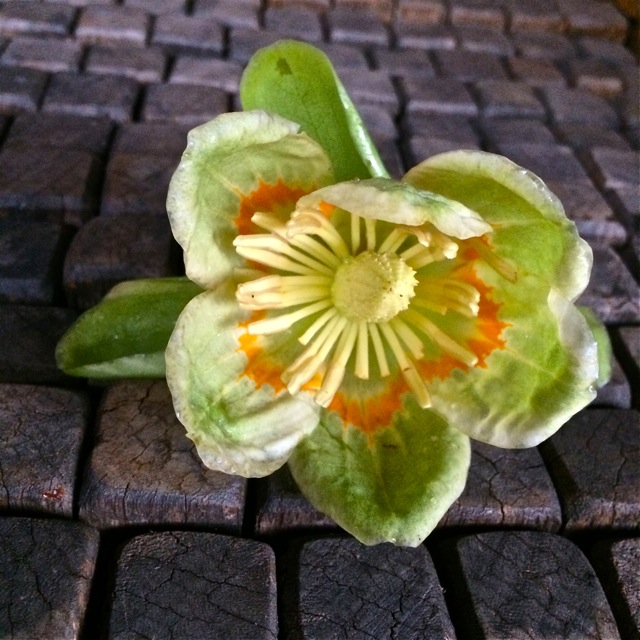 Rustnstuff: Shrouded moon, rust and rain