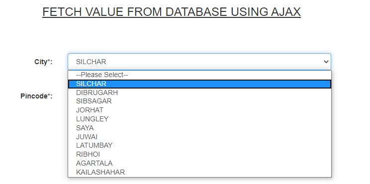 How to Insert Ajax Result in a Text Field