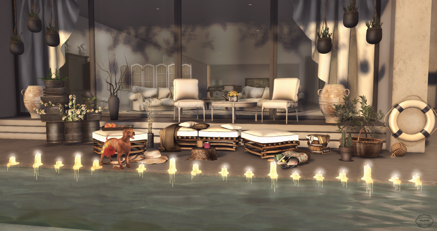 Scoop the pool Decorizing