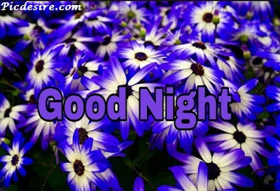 Top 101 Good Night Images || Best Good Night Images Top 101 Good Night Images || Best Good Night Images