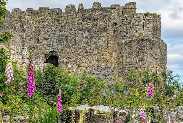 King John's Castle on a Carlingford Lough road trip in Ireland